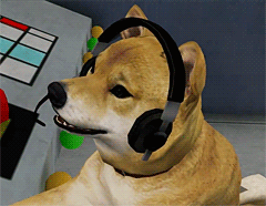 demotester1